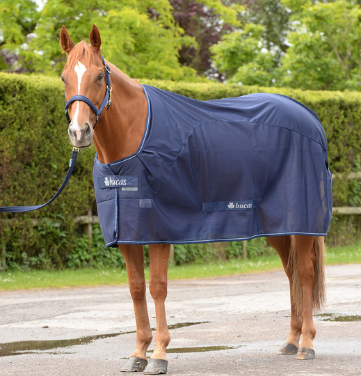 Bucas Competition Cooler Kyltäcke - Navy (140 cm)