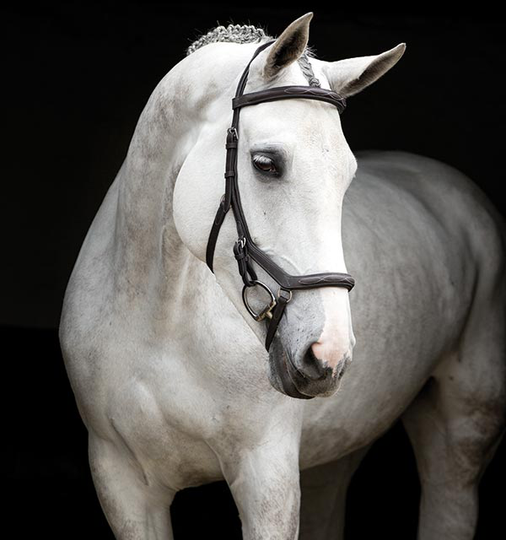 Horseware Rambo Micklem Deluxe Competition Träns - Dark Havana (Large Horse)