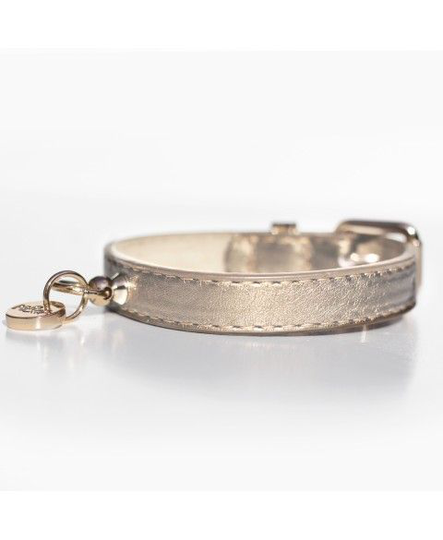 Milk & Pepper - Shine Guld Hundhalsband - Flera storlekar (45 x 2 cm)