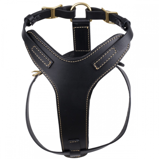 Feel Leather Sturdy Läder Sele Svart (S)