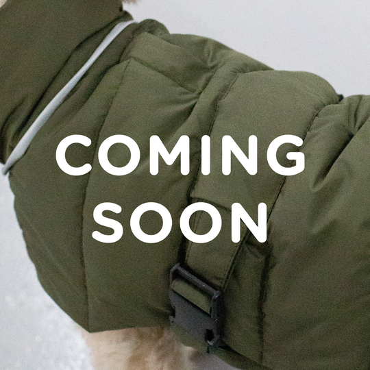 COMING SOON Hundtäcke Tax Vinter Puffer Olive - Denjo Dogs 42