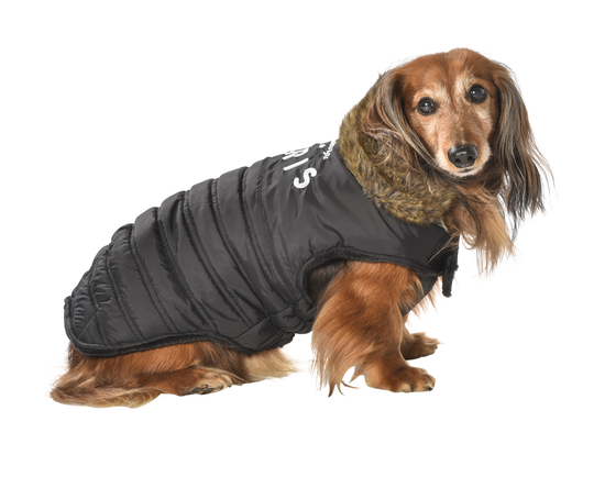Bobby Faubourg Vinterjacka till Hund - Svart (XS - 25 cm)
