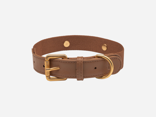 Konny Collar - XS / Cinnamon Beige