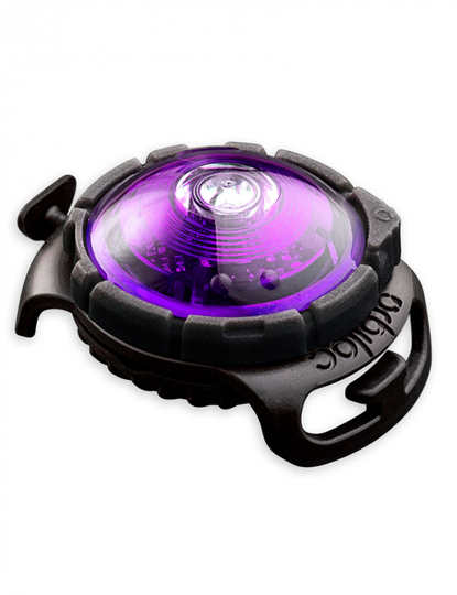 Orbiloc LED Dual Säkerhetslampa Hund - Lila