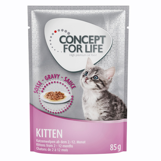 Concept for Life Maine Coon Kitten - förbättrad formel! - Som tillskott: 12 x 85 g Concept for Life Kitten i sås
