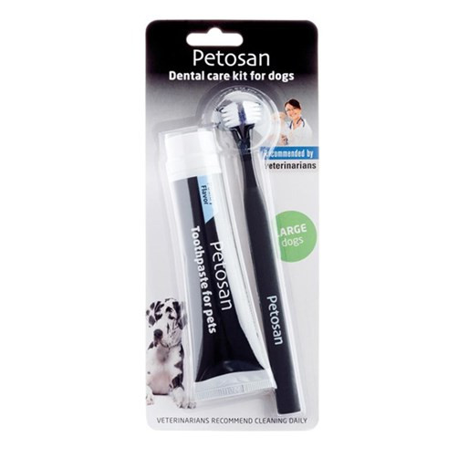 Dental Kit - Large