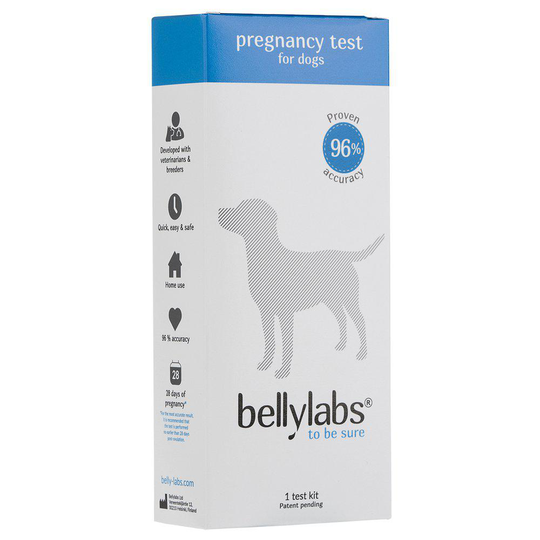 Bellylabs Graviditetstest För Hund