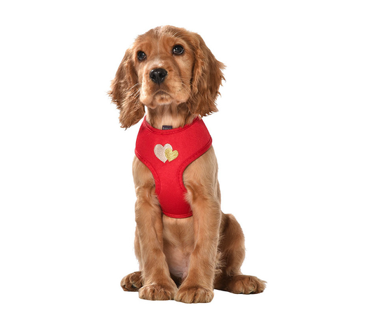 Bobby Lovely Nylon Hundsele T-Shirt - Röd (XS)