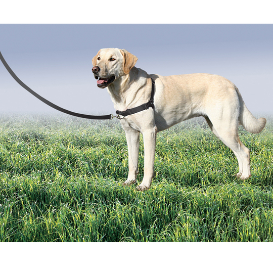 PetSafe Easy Walk - Svart - Antidragsele (S)