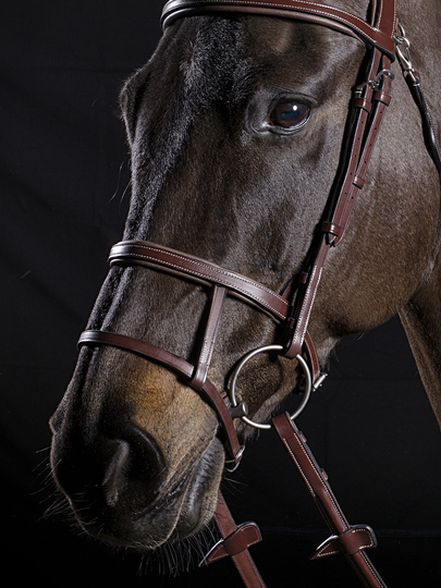 Equiline Capezzina Dubbel Nosgrimma - Brun