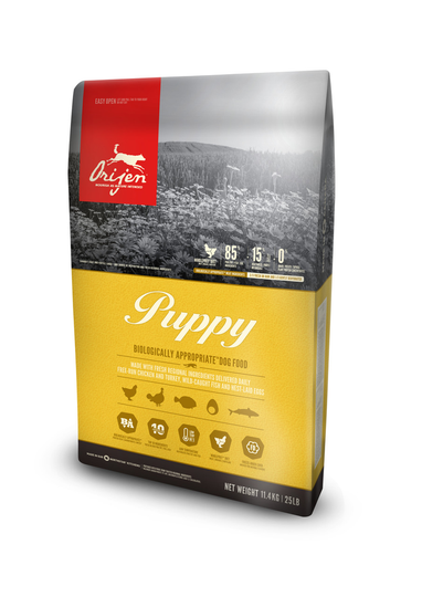Dog Puppy - 11,4 kg
