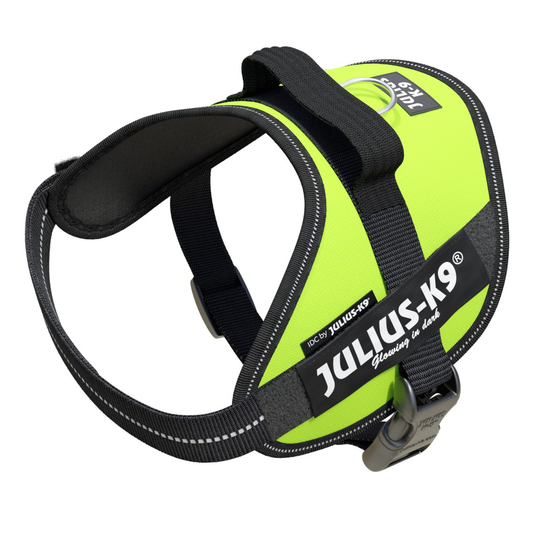 Julius-K9 IDC® Powerharness Hundsele - UV Neon Green (2)