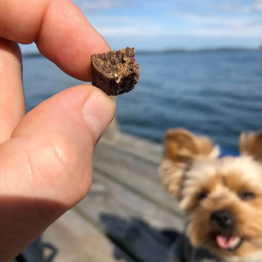 Torkat Svenskt Hundgodis Älgbitar - 60 g