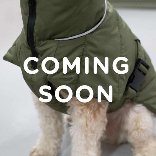 COMING SOON Hundtäcke Vinter Puffer Olive - Denjo Dogs 30