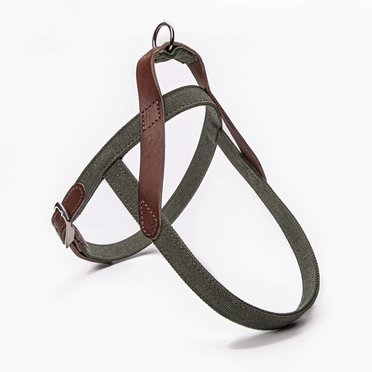 Hundsele Läder & Canvas Tivoli Olive - Cloud7 S