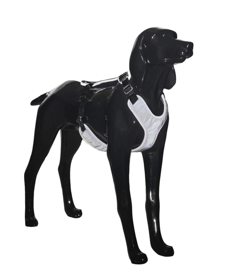 Reflekterande Hundsele - Mörkgrå XS